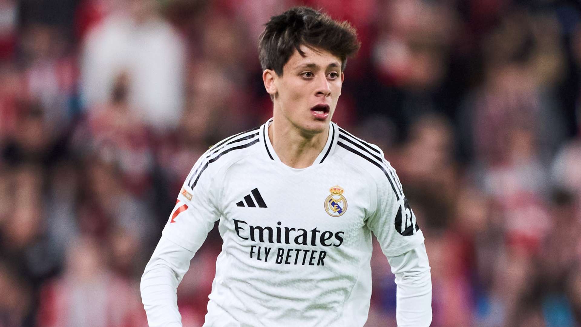 将成为展示 将成为展示